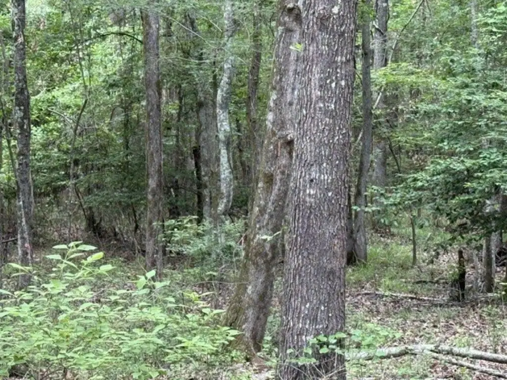 Picture 13