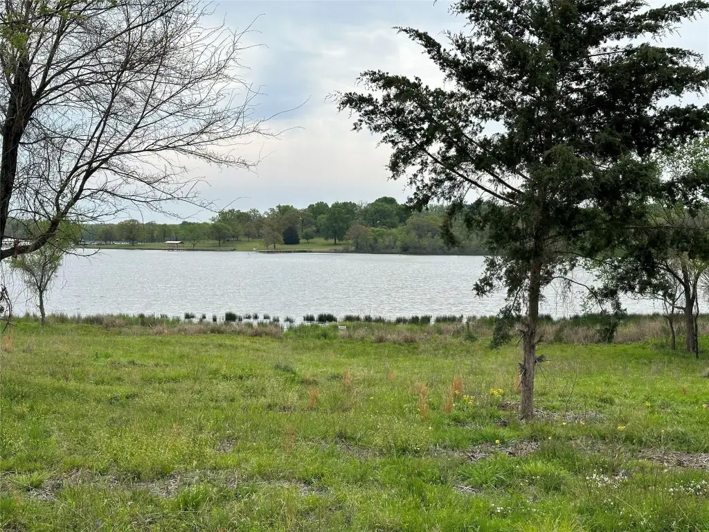 Picture 8