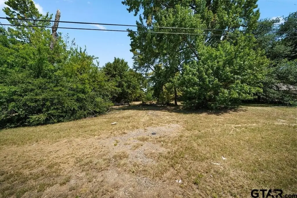 Picture 8