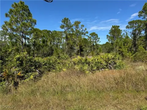Spacious Land in Punta Gorda