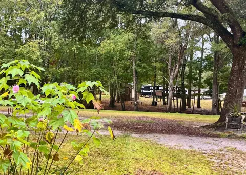 Cleared Lot Near Edisto River