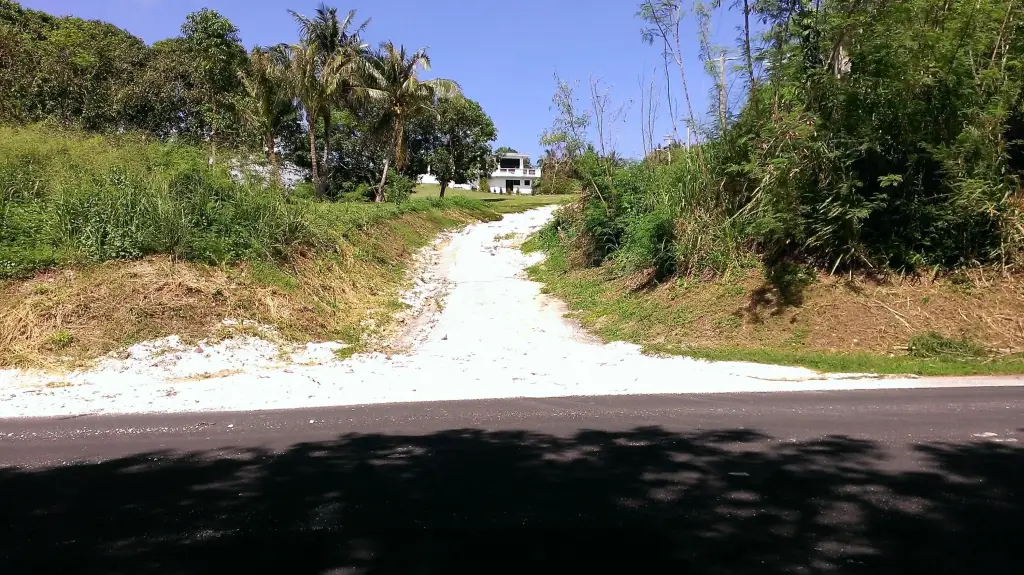Picture 2