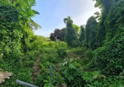 Vacant Land Parcel