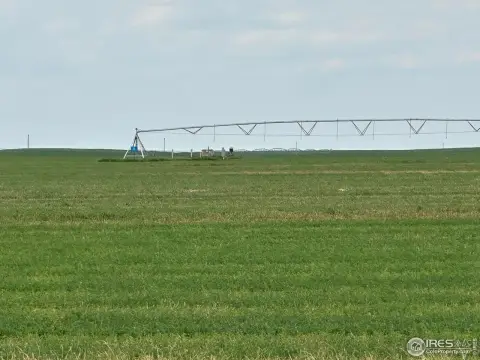 Irrigated Farmland in Cope, Colorado