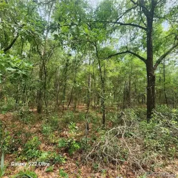 Residential Lot in Inverness Highlands