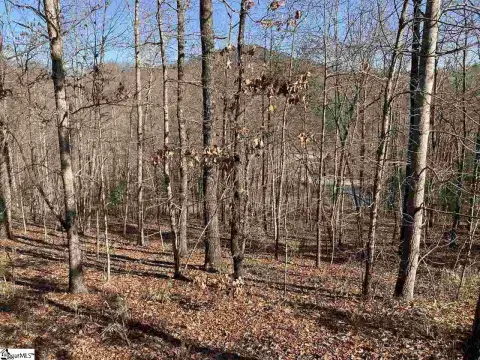 Residential Lot in Gated Community