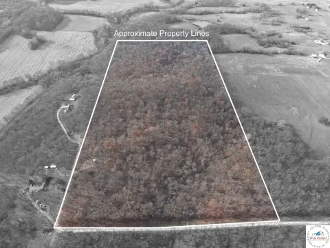 48.5 Acres Wooded Land Parcel