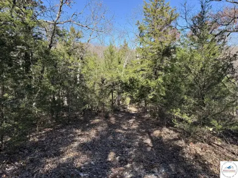 Lincoln, MO Land with Trails