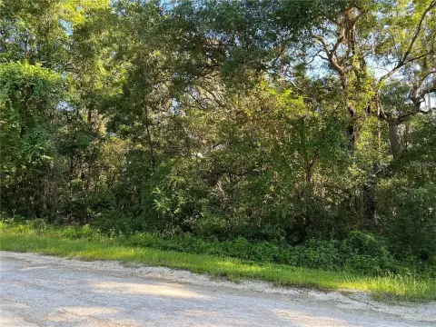 Wooded Lot in Rural Community