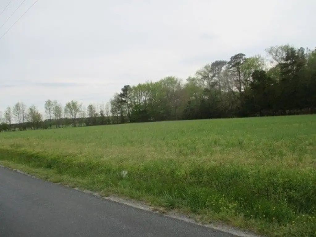 Picture 3