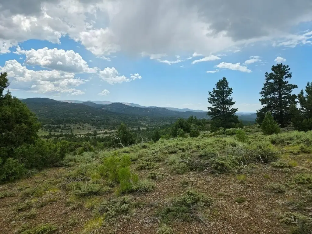 Picture 3