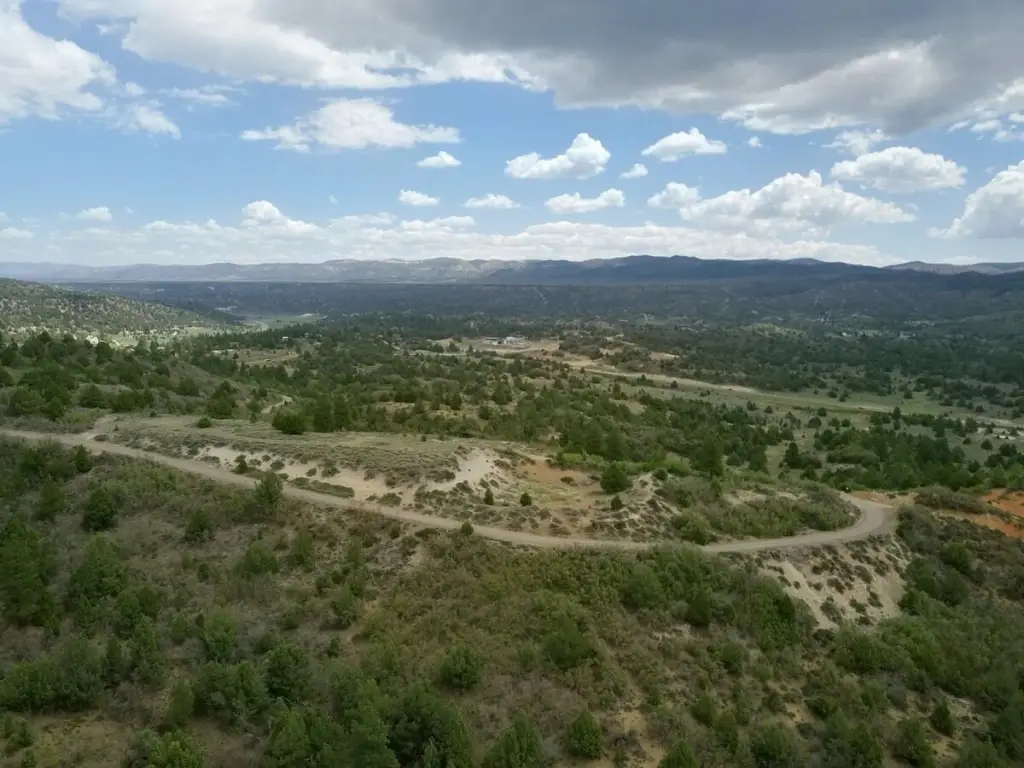 Picture 14