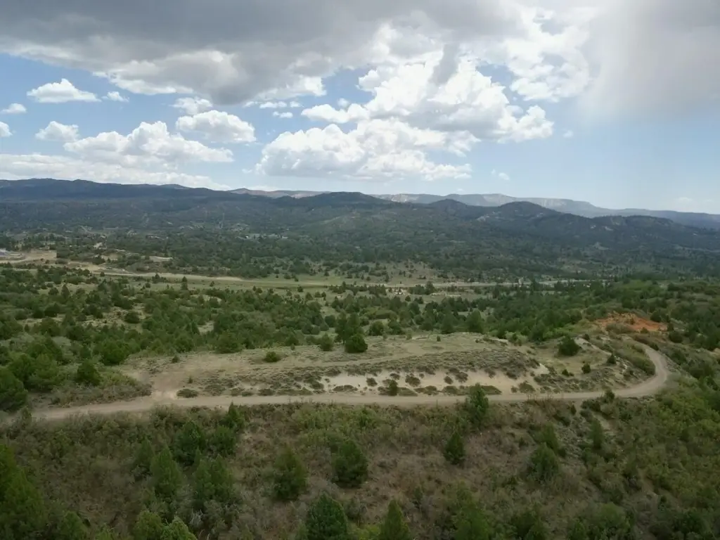 Picture 13
