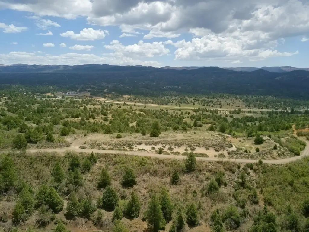 Picture 21
