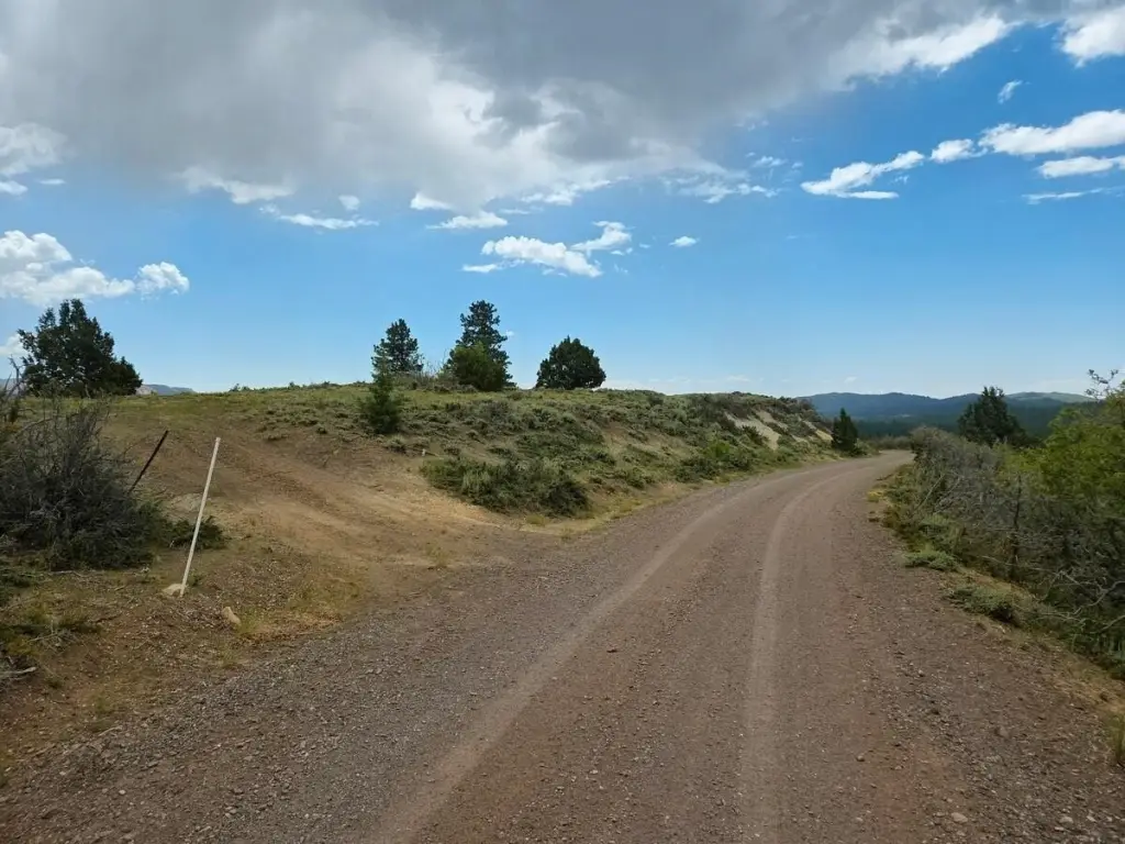 Picture 24