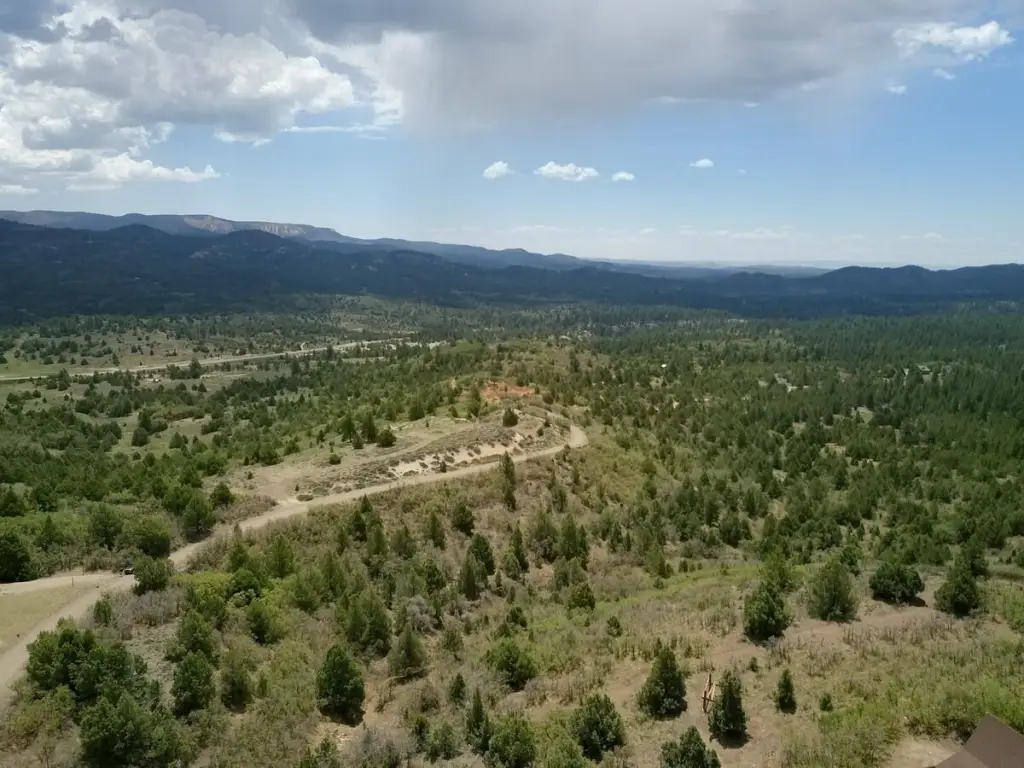 Picture 20