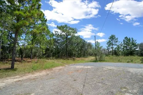 Oversized Lot in Dunnellon, FL
