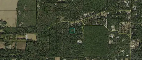 Crawfordville Land with Wooded Freedom