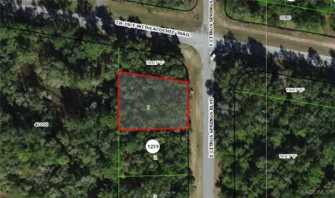 Citrus Springs Land For Sale