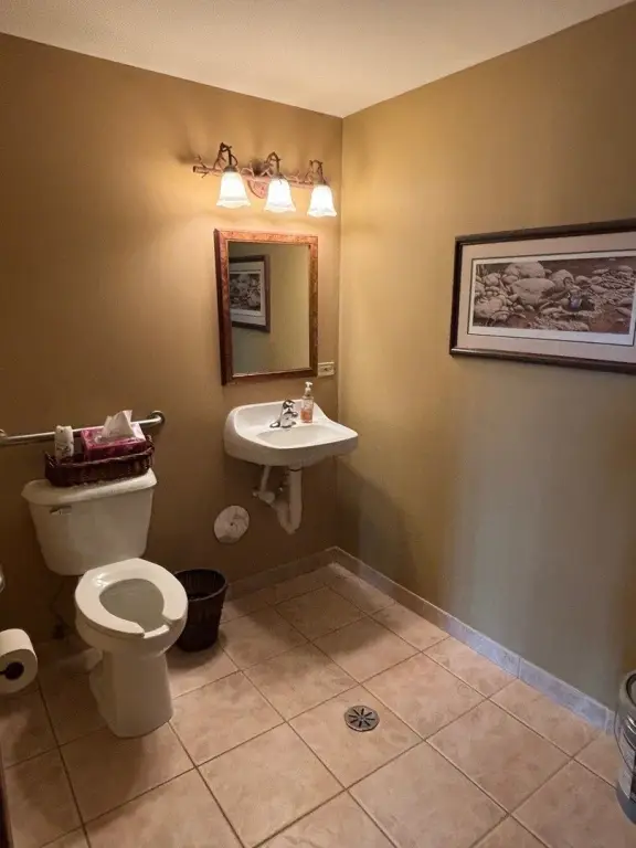 Picture 14
