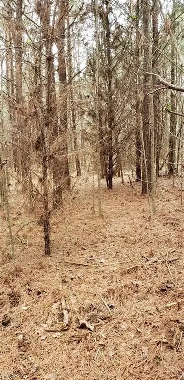 Picture 3
