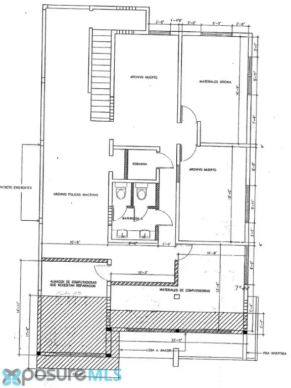 Picture 5