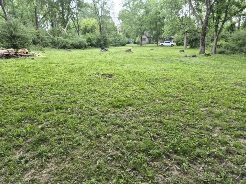 Picture 4