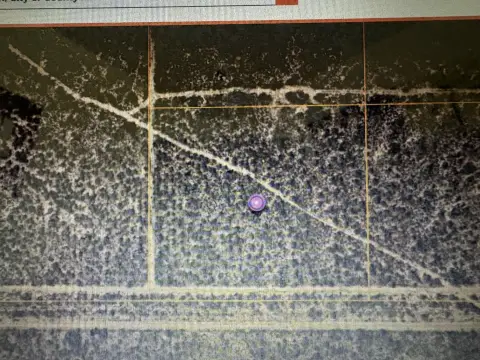 Mojave Land with Desert Views