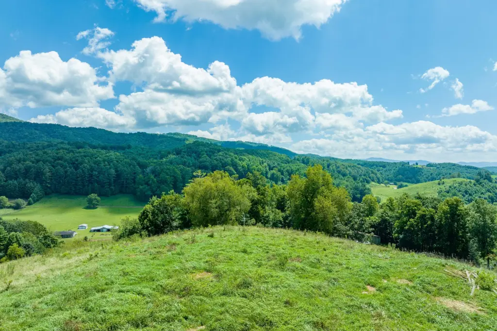 Picture 17