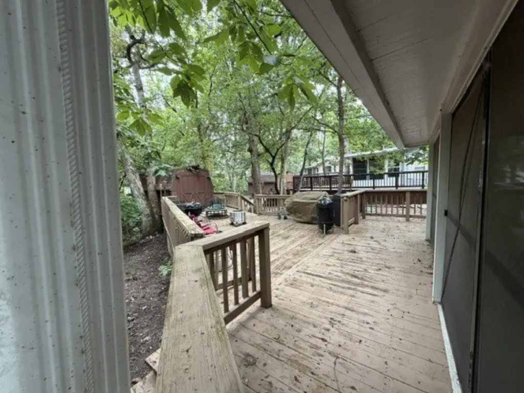 Picture 20