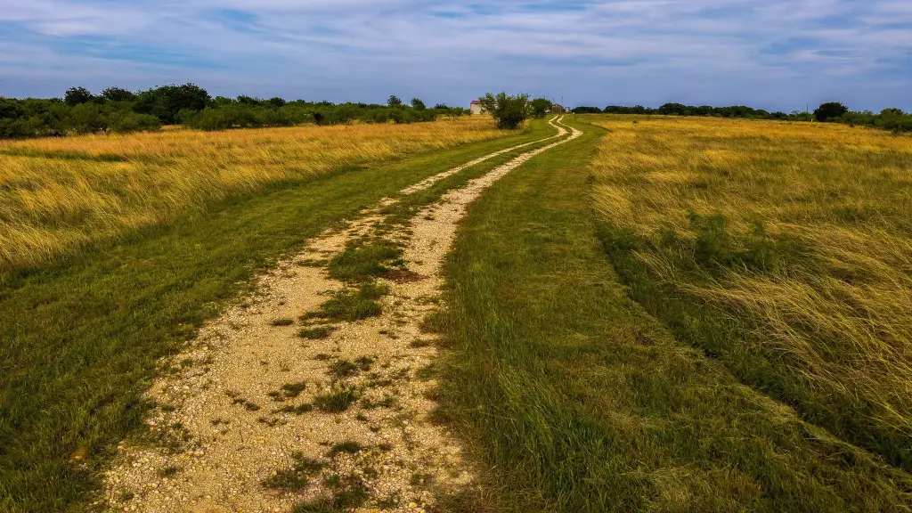 Picture 36