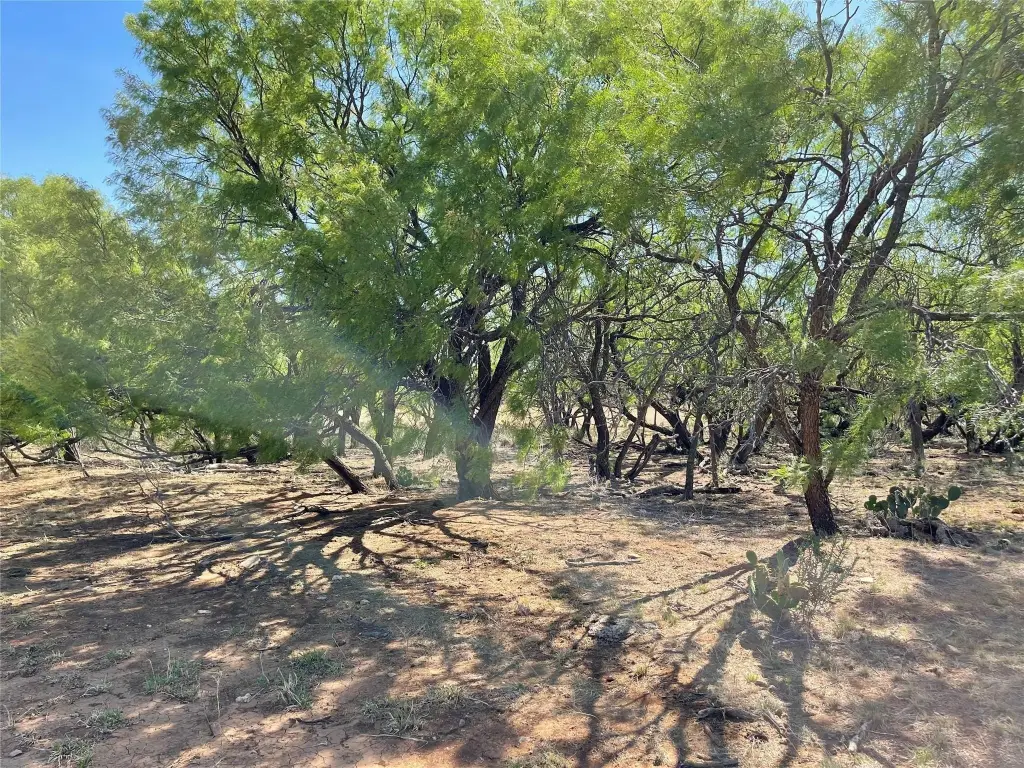 Picture 33