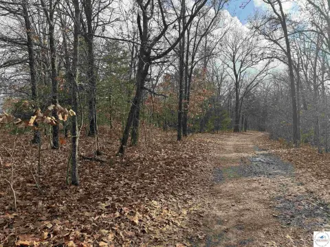 Timber Hunting and Homesite Land