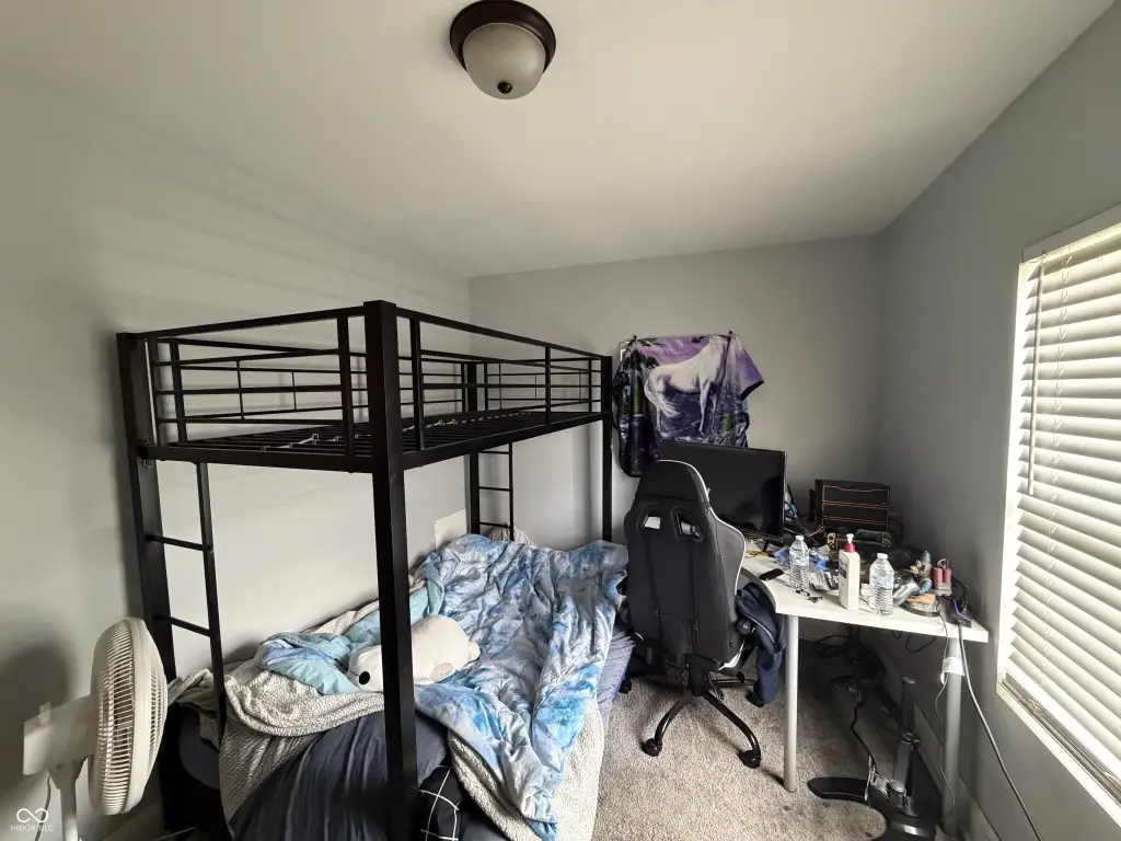 Picture 12