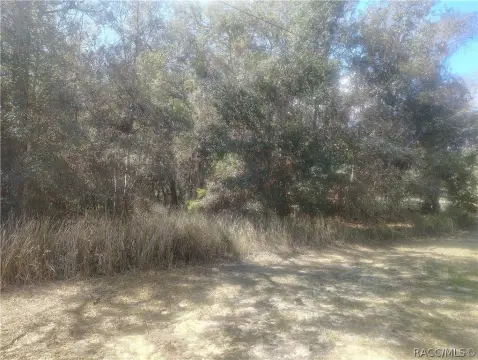 Oversized Lot in Pine Ridge