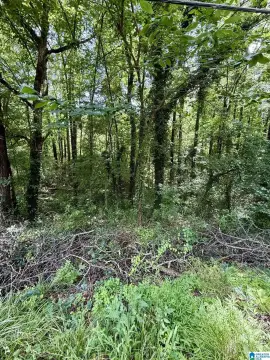 Residential Land in Desirable Area