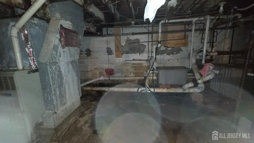 Picture 28