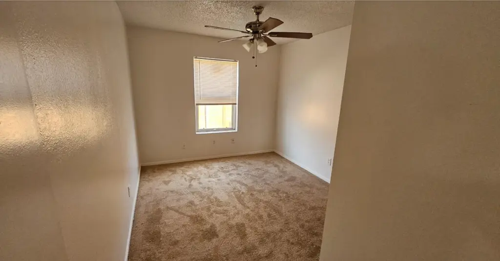 Picture 22