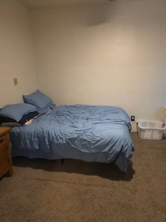 Picture 20