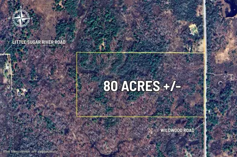 Spacious 80-Acre Land Parcel