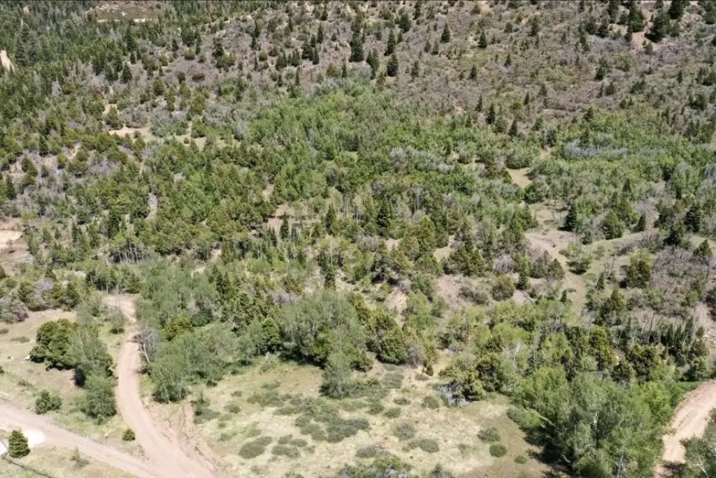 Picture 9