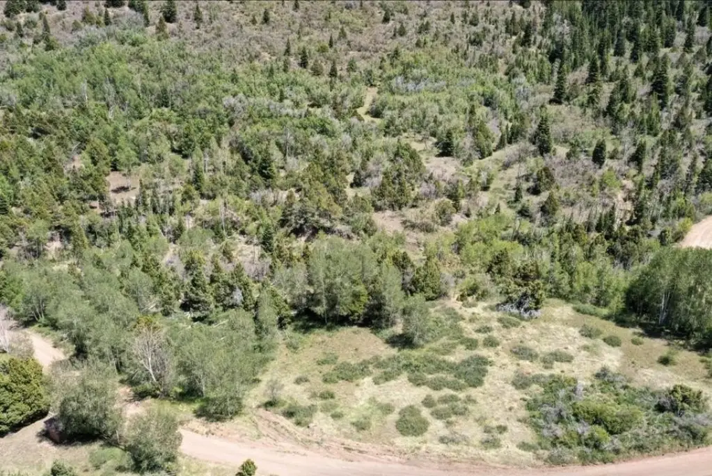 Picture 6