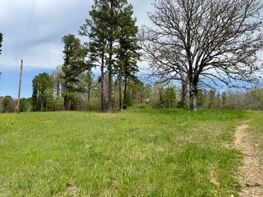 Picture 11