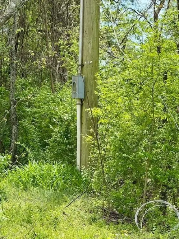 Picture 4