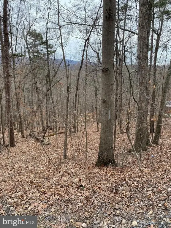 Picture 2