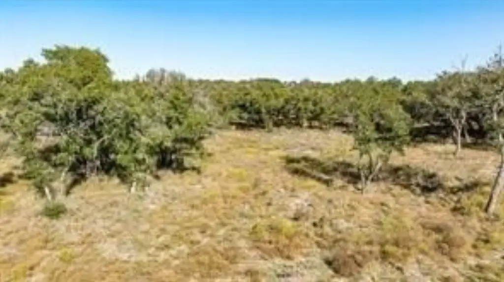 Picture 25