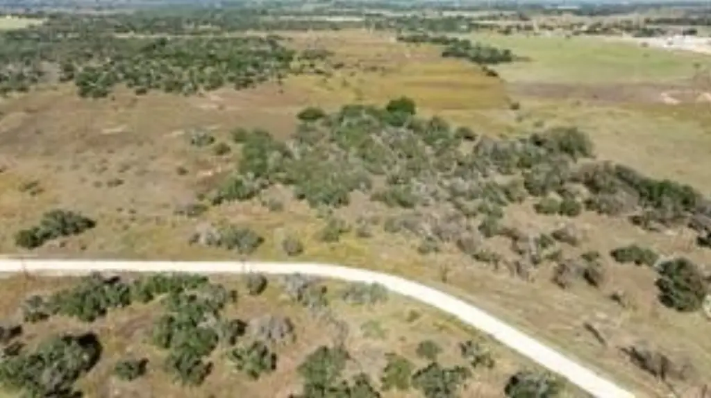 Picture 21