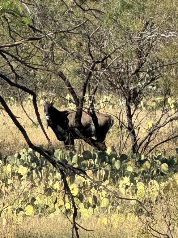 Picture 23