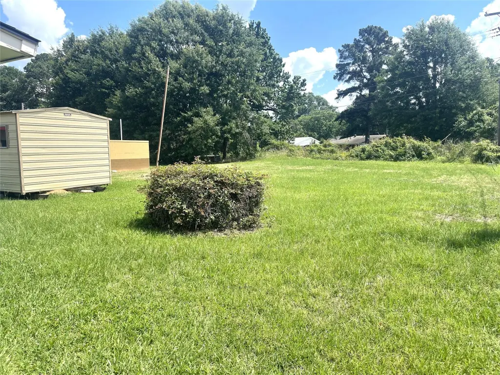 Picture 25