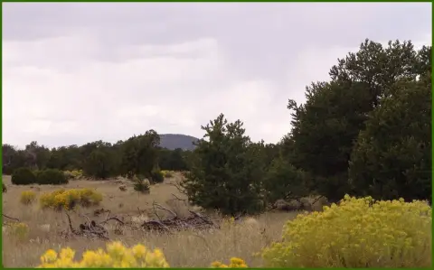 Expansive Land in Pinon Trails